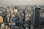 Sao Paulo Skyline in Brazil